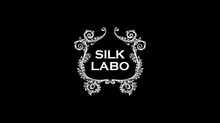 シルクラボ(SILK-LABO)女性向けAV初心者が見るべきAVベスト5のレビュー